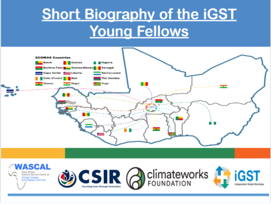 iGST young fellows biography